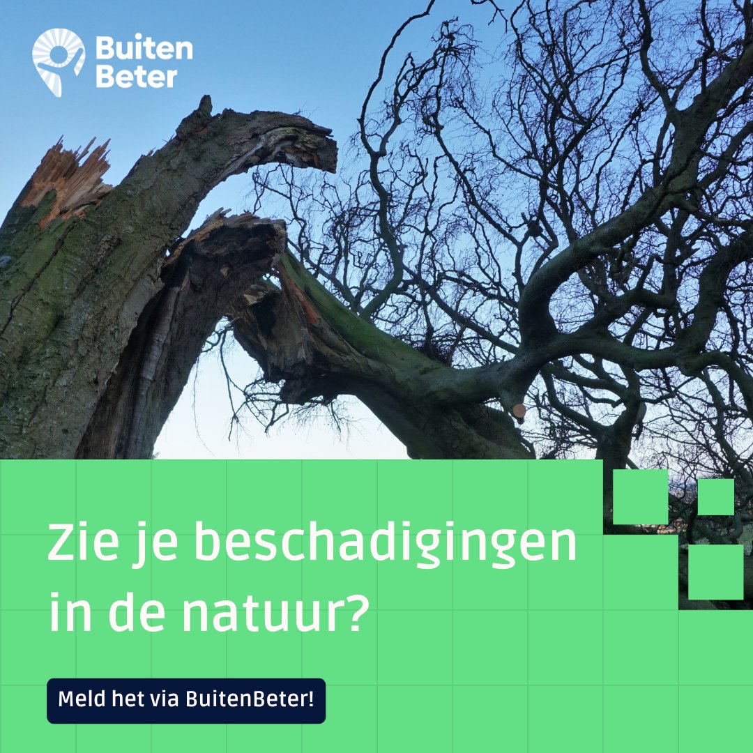 Steeds meer gemeenten zetten zich in voor het versterken van de biodiversiteit. Maar er kan natuurlijk wel eens iets mis gaan. Zie je schade aan de natuur, zoals omgevallen bomen, loshangende takken of wildgroei die het fietspad blokkeert? ➡️ Meld het via BuitenBeter!