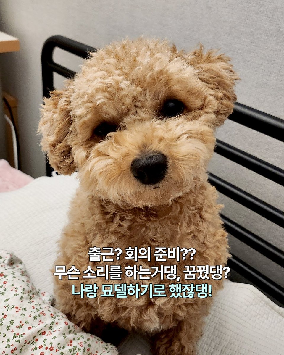 hanatour's tweet photo. ˗ˋˏ빤-히ˎˊ˗ https://t.co/X9AbtVp81s