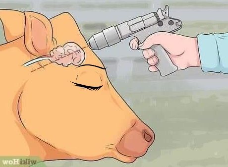 NFT Executive tweet media