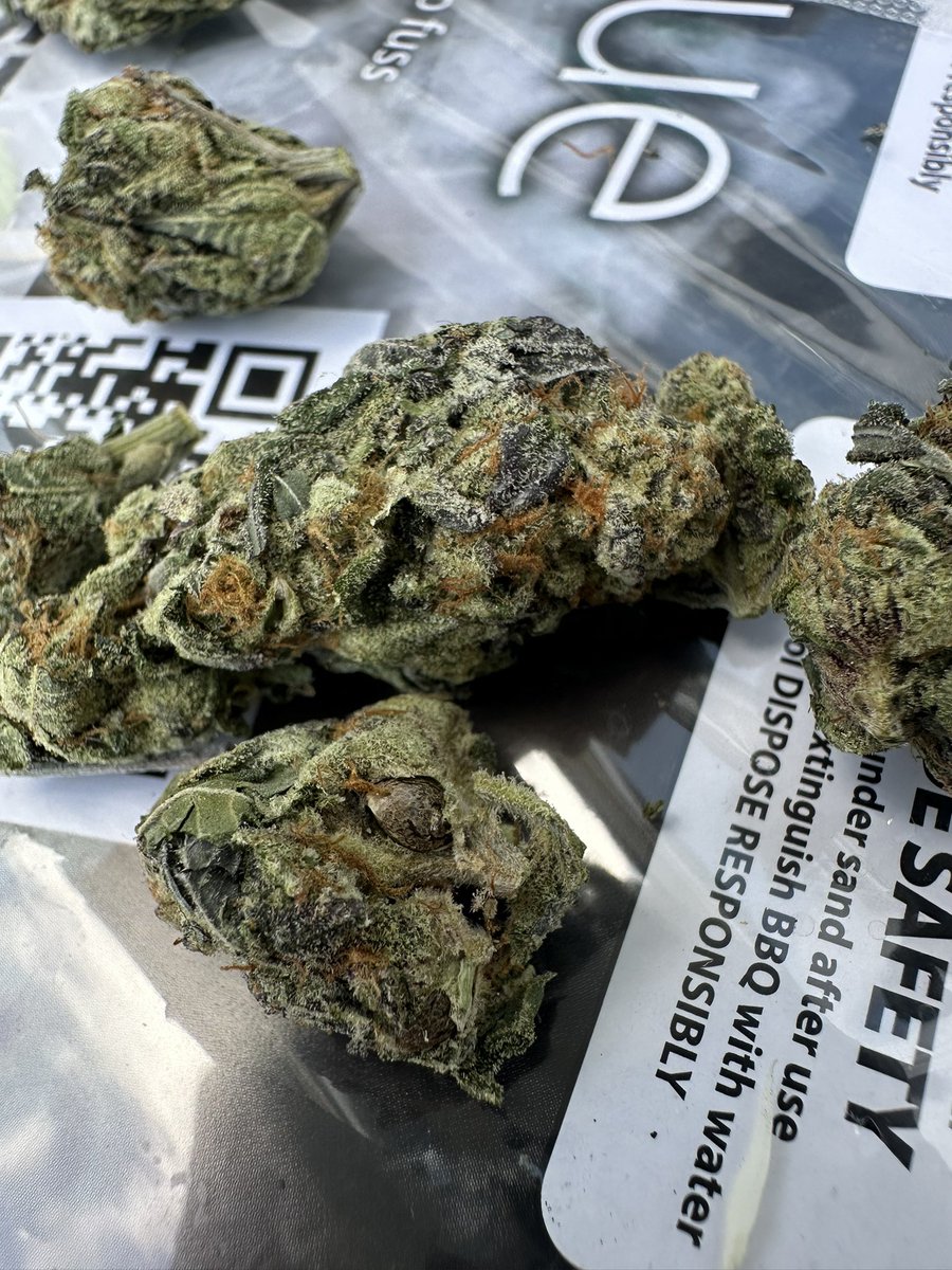 Milk bath bred by <a href="/LitFarms/">Lost In Translation</a> 
Hit her with the dirty marker