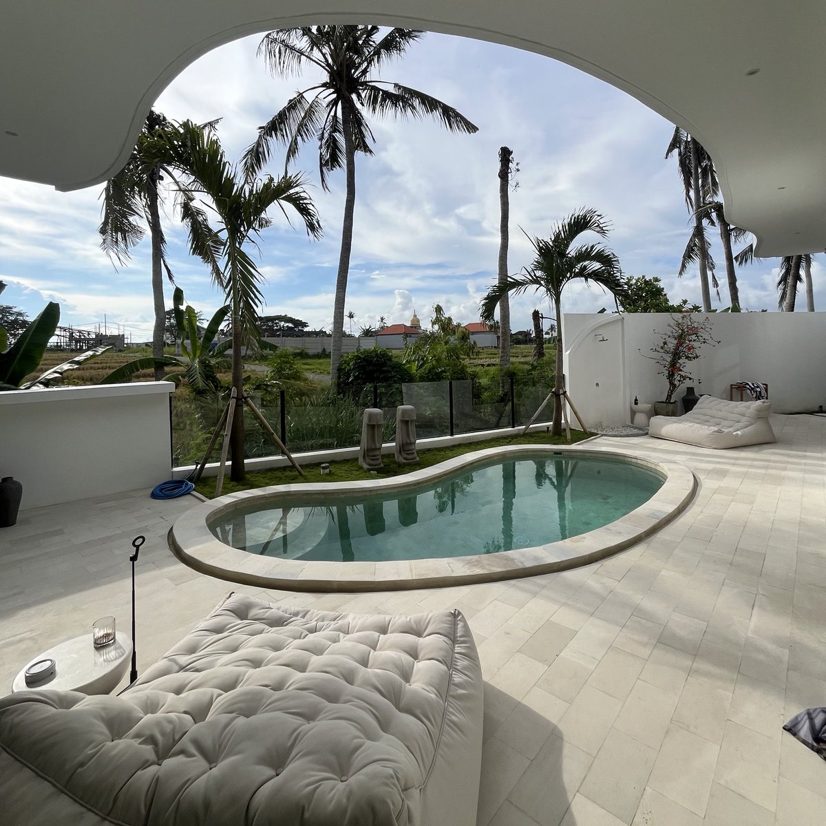 Vasco Aires tweet media