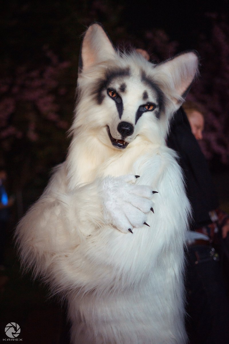 Happy #FursuitFriday &amp; #Easter in my <a href="/Kitavos_DE/">Kitavos 🇩🇪 🔜 RFD 🇩🇪</a> suit

✂️ <a href="/yurei_kitsune/">Yurei VF 2023</a>
📸 <a href="/Karex_Wolf/">Karex</a>
🗓 20.04.2019
🏨 #Kleingartenverein
🏙 #Dortmund 🇩🇪
🦊 #DortmundFurmeet

#Furmeet #Fursuit #Furry #Fuchs #Fox #Kitavos #BerkWolf #Berk #Karex

Follow my Berk-News (TG):
t.me/Berk_News
