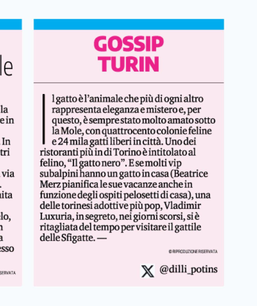 #vladimirluxuria in visita al gattile de <a href="/LeSfigatte/">Le Sfigatte</a>