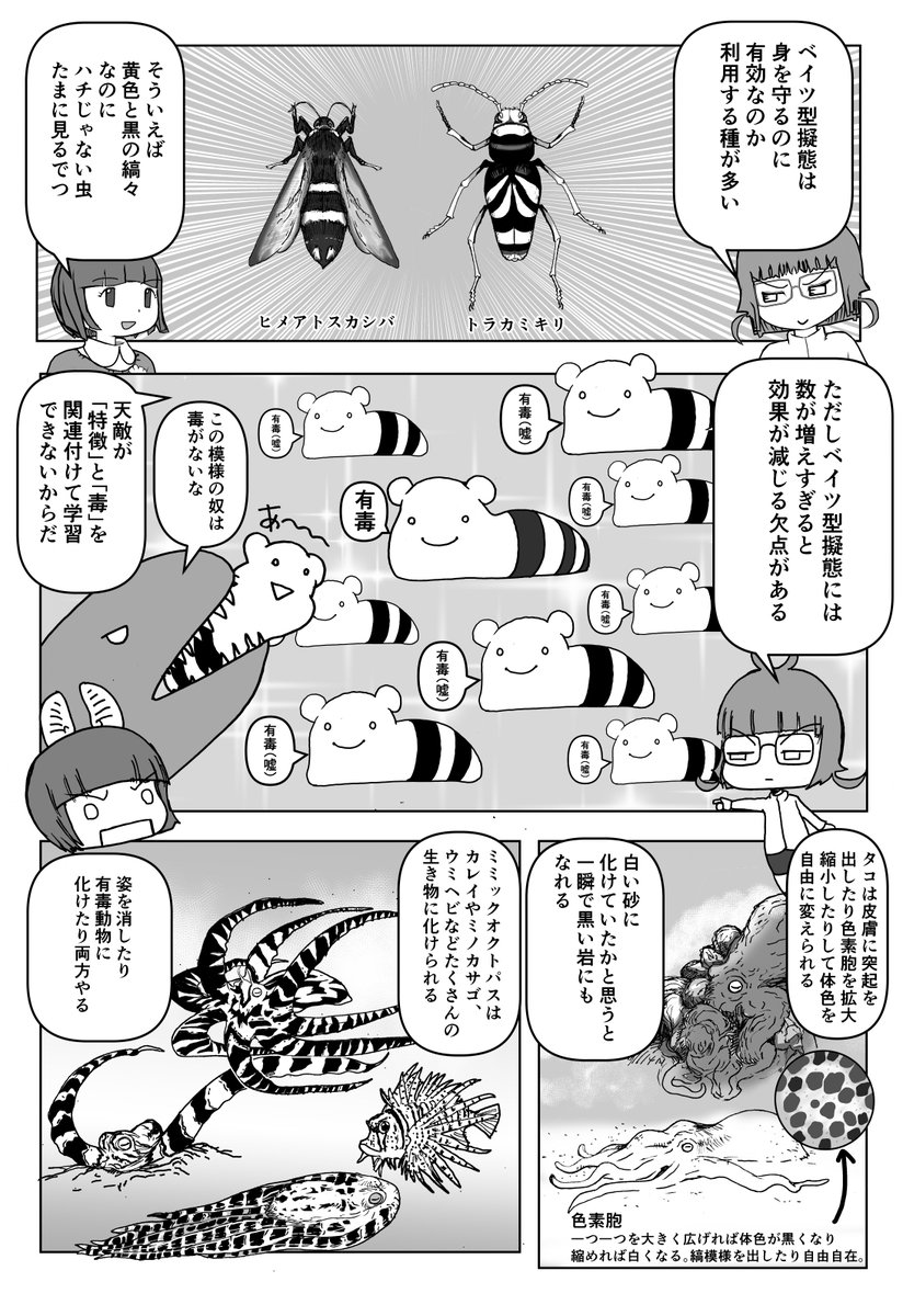 色々と誤解されてそうな動物を漫画で解説していくぞい。  第34回「擬態」2/2 #クック先生の動物講座 #漫画が読めるハッシュタグ #マンガが読めるハッシュタグ 