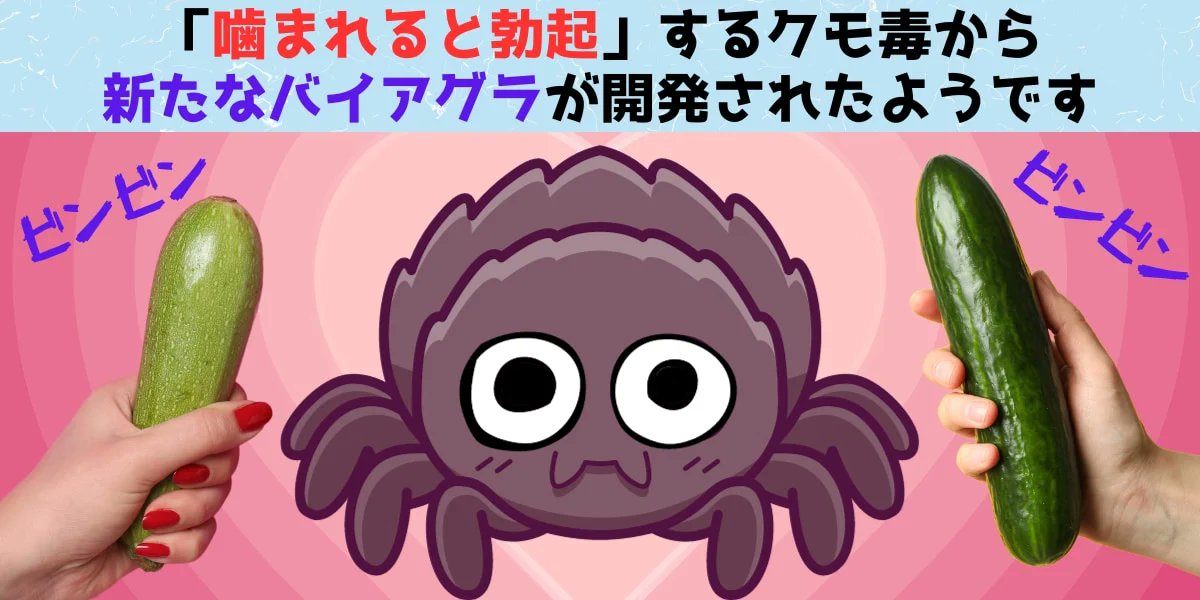 NazologyInfo's tweet photo. 「噛まれると勃起」するクモ毒が新たなバイアグラになる
https://t.co/QUFgRDC7QM

ブラジルUFMGは噛まれるとペニスの勃起を引き起こすクモ毒から勃起治療薬を作っているという。臨床試験の第1相では安全性が確認されましたようですが、それよりもクモ毒の何が勃起を促したのでしょうか？ https://t.co/S2Njc1cKYa