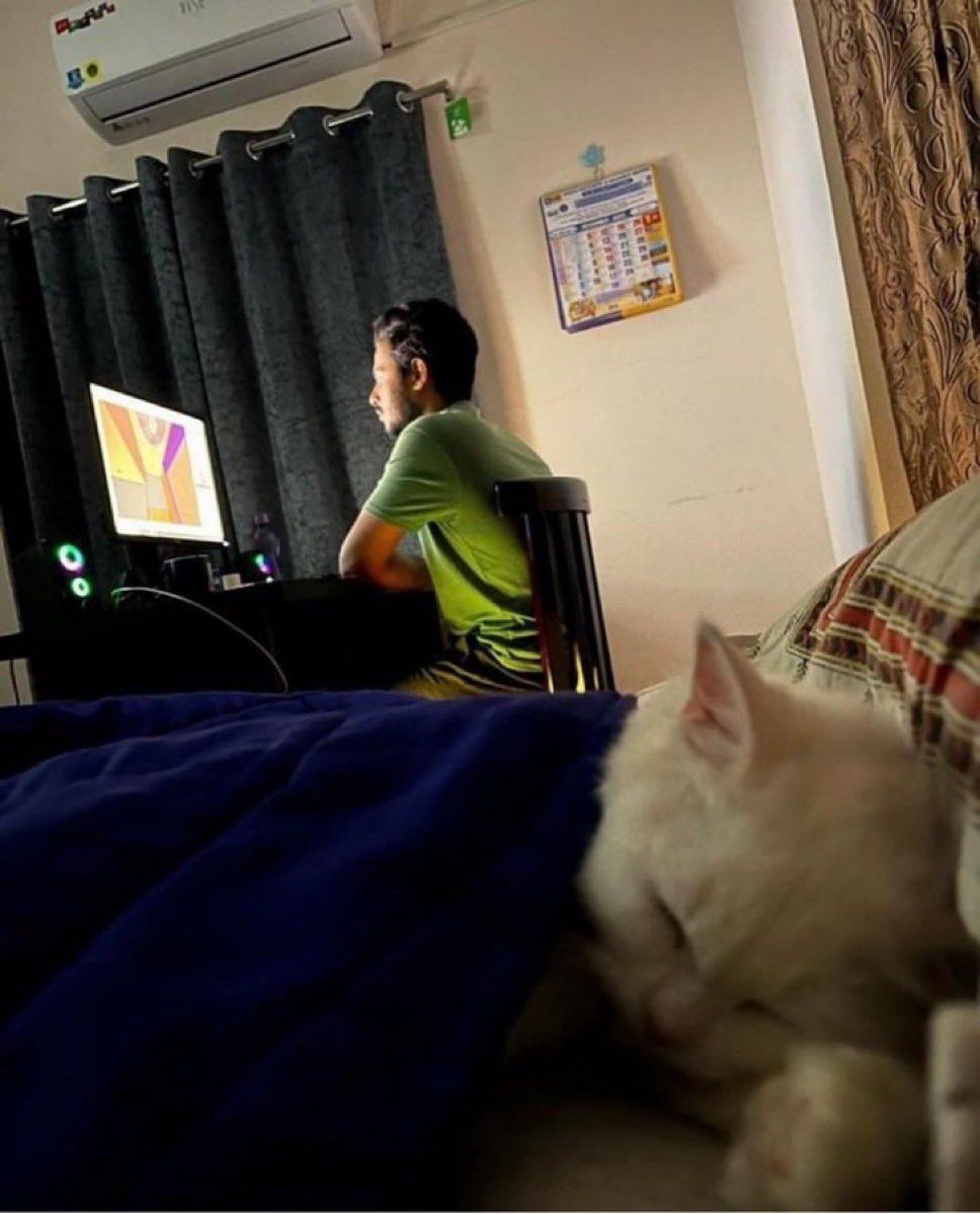 Why you should have a cat (@shouldhavecat) on Twitter photo 