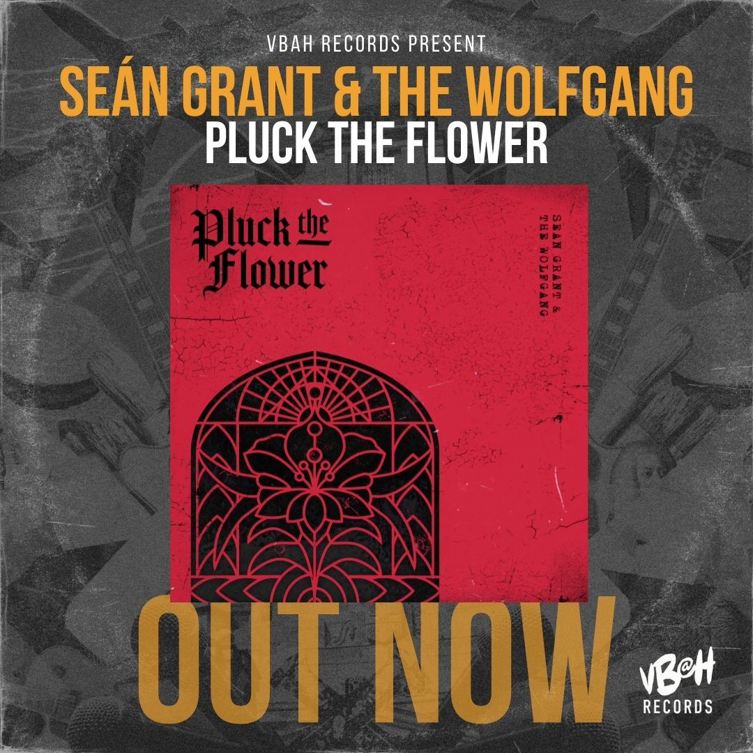 Vandalism Begins At Home (@vbahrecords) on Twitter photo OUT NOW
<a href="/sgwolfgang/">Sean Grant & The Wolfgang</a>
Pluck The Flower
Mystical. Relentless. Cinematic.
Seán Grant & The Wolfgang return with their new single, ‘Pluck the Flower,’ via Vandalism Begins at Home Records,
STREAM NOW 👇
vbah.co.uk/SGWG/Pluck-the… OUT NOW
<a href="/sgwolfgang/">Sean Grant & The Wolfgang</a>
Pluck The Flower
Mystical. Relentless. Cinematic.
Seán Grant & The Wolfgang return with their new single, ‘Pluck the Flower,’ via Vandalism Begins at Home Records,
STREAM NOW 👇
vbah.co.uk/SGWG/Pluck-the…