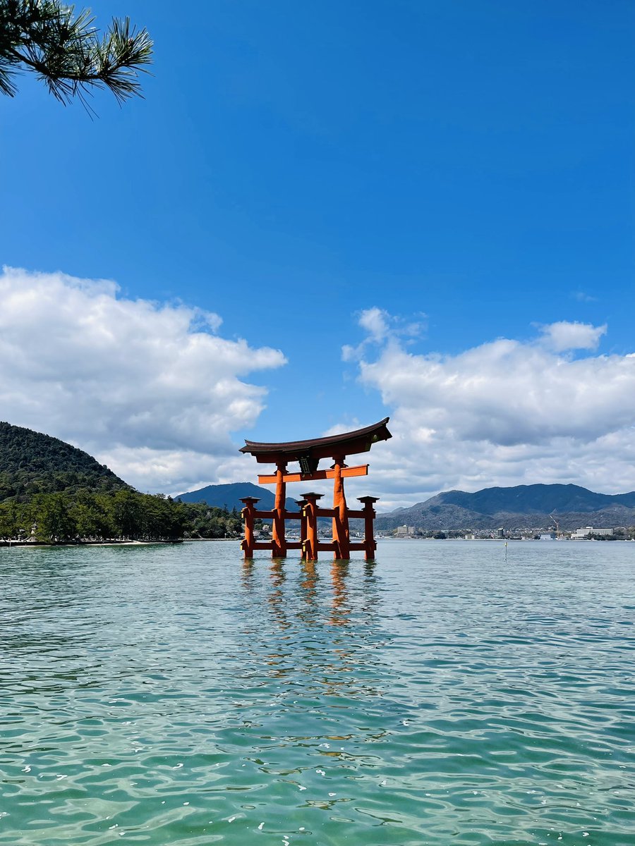 HIROKIC1super's tweet photo. 今年は旅に出たりしてるわいな https://t.co/msz08SwXLm