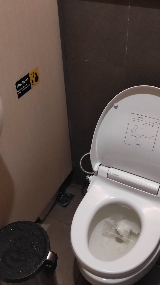 Orang tolol mana yang buang tisu di lobang toilet, anjggggg!!! JELAS JELAS ADA TEMPAT SAMPAH.