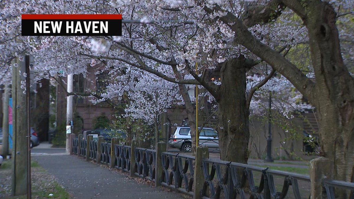 gilsimmons's tweet photo. Good morning! A chilly, but beautiful looking morning out there! Join us on @WTNH &amp; let me know the temp at your house! #Waterbury #HolyLand #NewHaven #WoosterSquare @BlossomBlogger https://t.co/SqV9UGOqR8