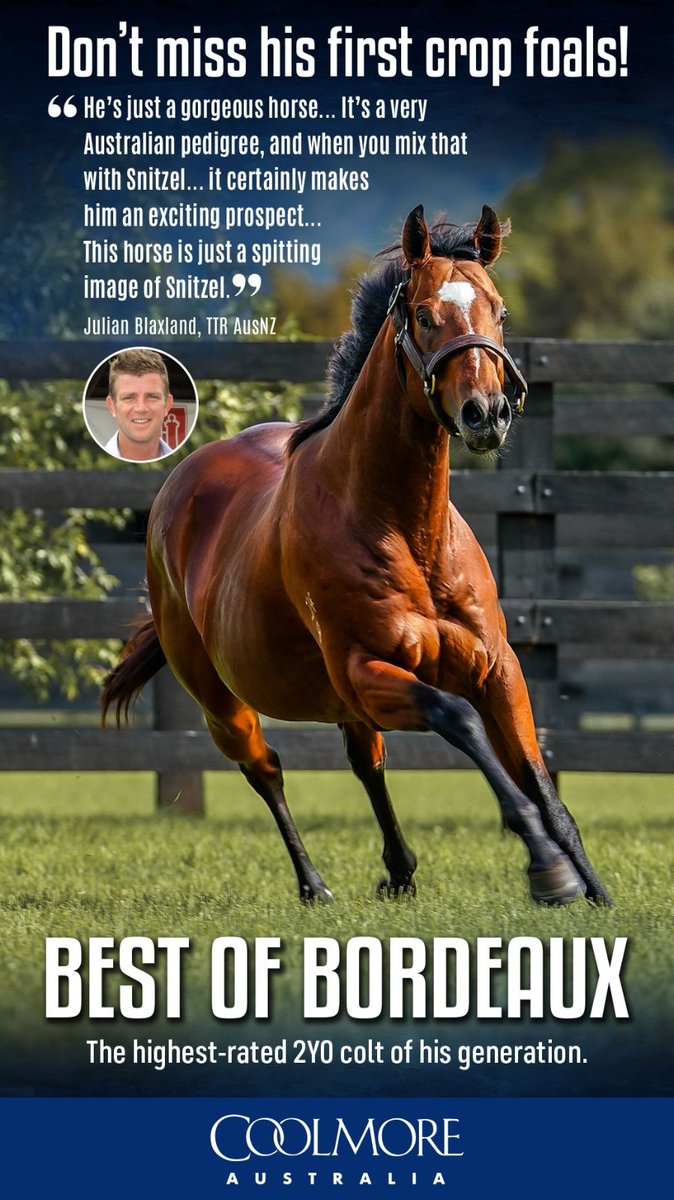 TTR AusNZ (@ttrausnz) on Twitter photo Don't miss his first crop foals!
"He's just a gorgeous horse... It's a very Australian pedigree, and when you mix that with Snitzel... it certainly makes him an exciting prospect... This horse is just a spitting image of Snitzel." - <a href="/JulianBlaxland/">Julian Blaxland Bloodstock 🇦🇺</a>
🔵 Best Of Bordeaux 🔵
The Don't miss his first crop foals!
"He's just a gorgeous horse... It's a very Australian pedigree, and when you mix that with Snitzel... it certainly makes him an exciting prospect... This horse is just a spitting image of Snitzel." - <a href="/JulianBlaxland/">Julian Blaxland Bloodstock 🇦🇺</a>
🔵 Best Of Bordeaux 🔵
The