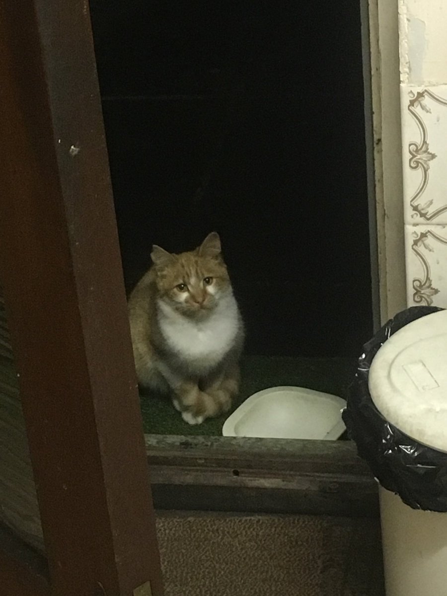 Throwback pic…3 May 2016. ❤️❤️❤️