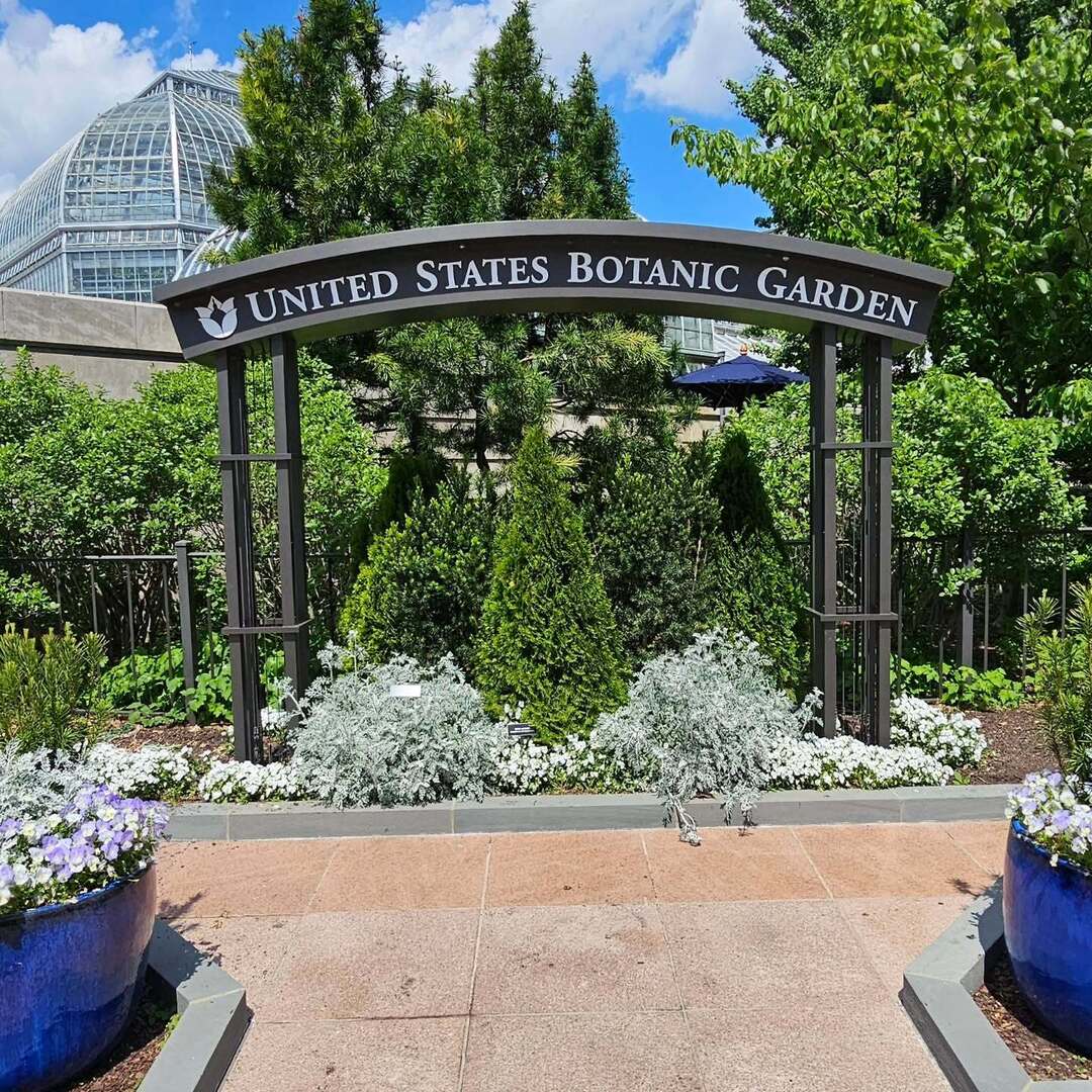 wanderonomy's tweet image. The Botanic Garden is one of my favs in DC.  No tickets necessary and always free.

The orchid section is beautiful and fragrant! instagr.am/p/DJK3-FjJPfN/