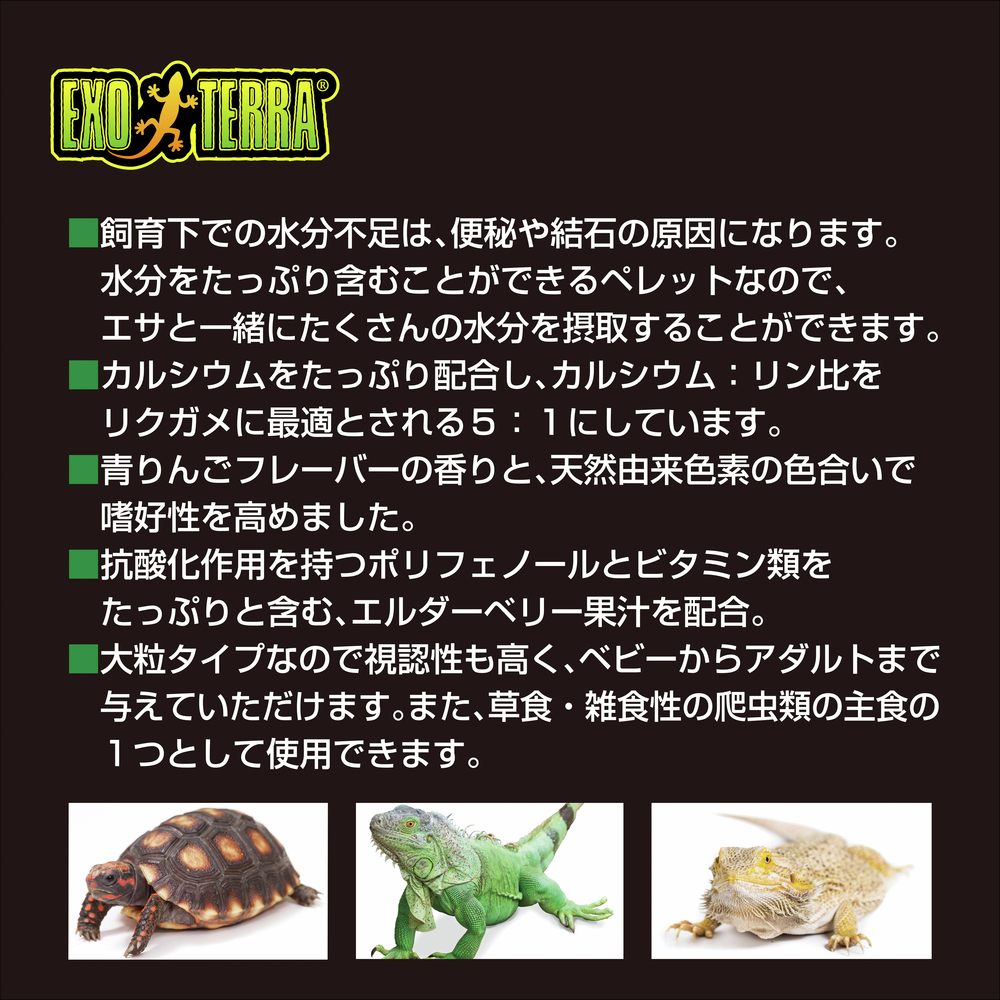 リクガメが本来食べている草本類を主原料としたリクガメのフードが出ました🐢
『リクガメブレンドフード』は自然界の草本を再現🍀
低たんぱく・高繊維チモシーの完全草食ペレットだからリクガメはもちろんイグアナ🦎やフトアゴにも最適です✨
#エキゾテラ #ブレンドフード #リクガメ #GEX