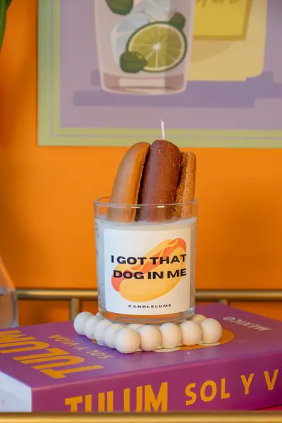 I just received Hot Dog Candle / I got that dog in me candle / funny candle / custom candle / gift ideas from uncl3bamf via Throne. Thank you! throne.com/libearty #Wishlist #Throne
