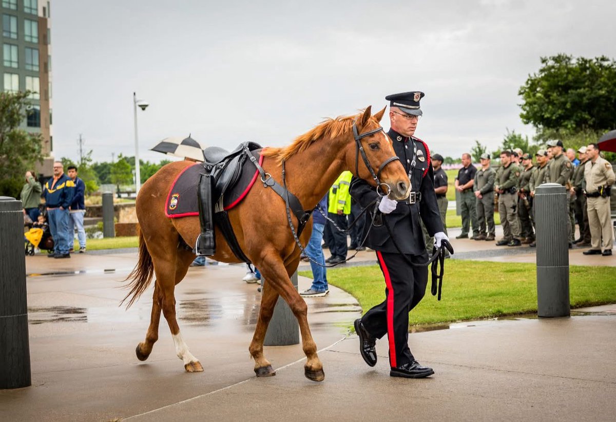 Please join us for the Grand Prairie Police Department's Annual Memorial Service where we honor those who made the ultimate sacrifice. 

🗓Thursday, May 15th
⏰5:30pm
📍Public Safety Building - 1525 Arkansas Ln
 
Officer Lyndon King
Sergeant Gregory L. Hunter
Officer A.J.