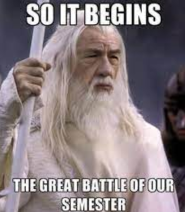 Leah4Sci's tweet image. Gearing up for your great battle?
Or all you all done with finals?

Let me know in my YouTube poll: youtube.com/post/UgkxZvgCv…

Then grab your sword, I mean notes, and get ready to conquer your exam!

#OrgoFinals #FinalsBattle #StudyGrind #PremedLife