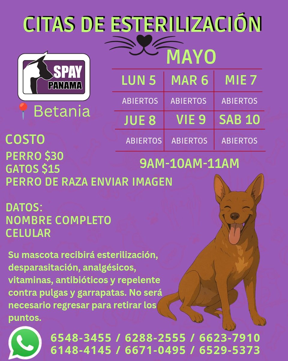 Spay Panama tweet media
