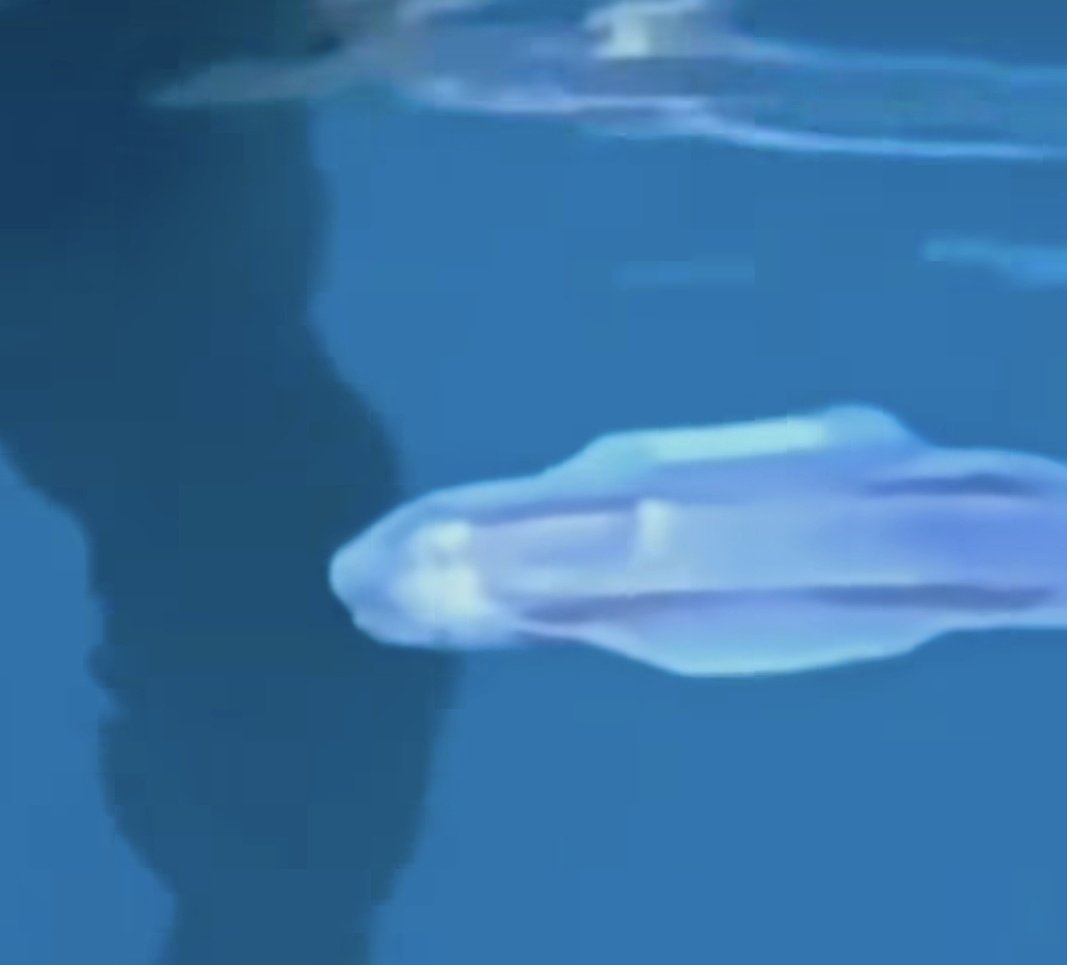 Vengo a desbloquear un miedo