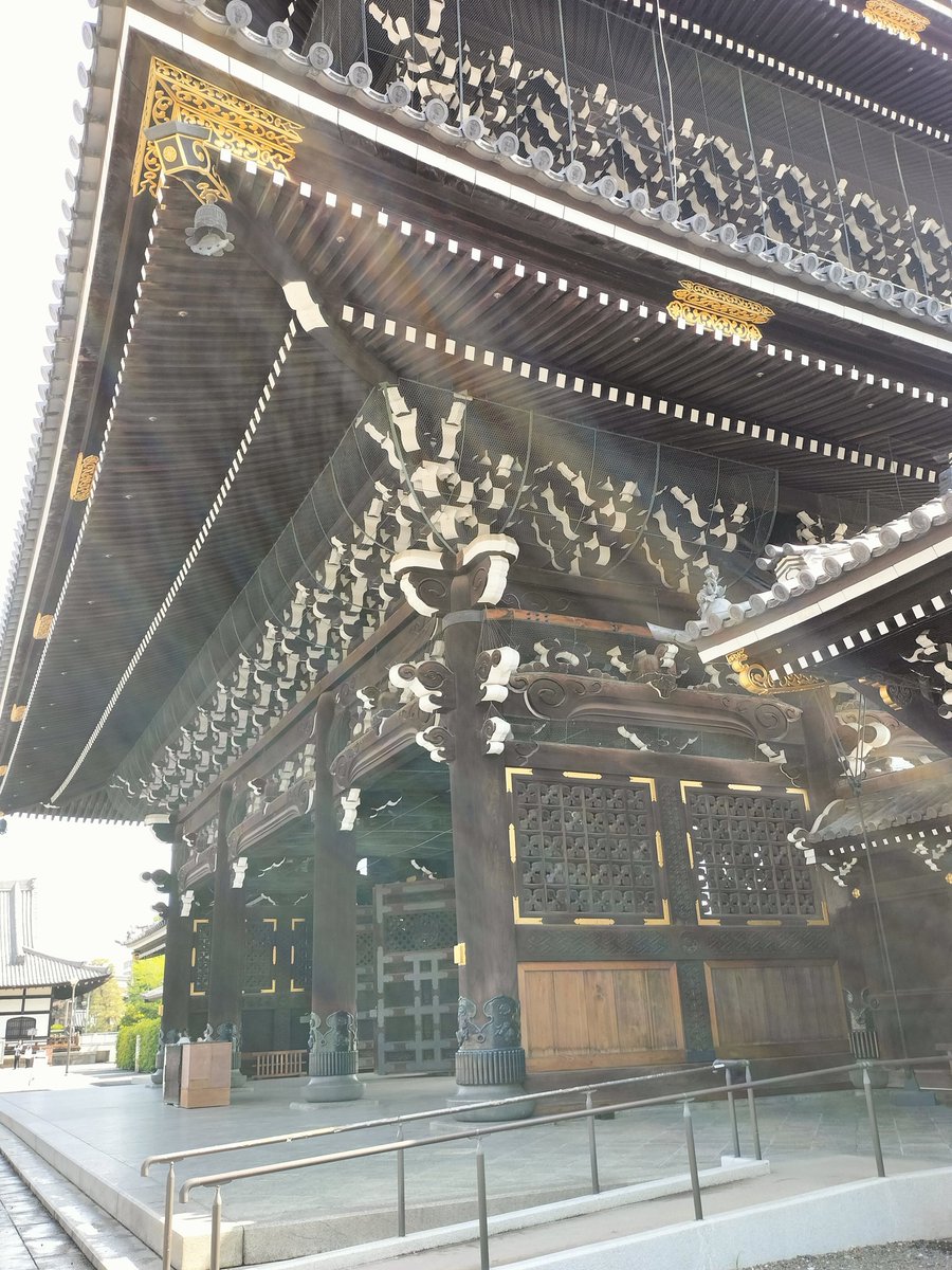 朝のお散歩。
お東さん(東本願寺)
聞こえて来るのは外国語ばかりなり🥴