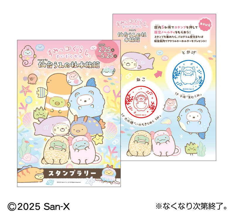 仙台うみの杜水族館】 館内を巡りながら「すみっコぐらし」の