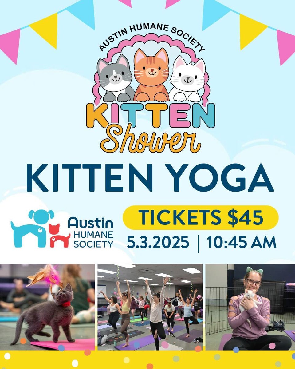 Colton Vasek (@coltonvasek) on Twitter photo Make sure to get your tickets this years Austin Humane Society Kitten Shower - TOMORROW
May 3rd at 10:45AM.
<a href="/austinhumane/">AustinHumaneSociety</a> @texasonefund
tx1.fund/AHSkitten Make sure to get your tickets this years Austin Humane Society Kitten Shower - TOMORROW
May 3rd at 10:45AM.
<a href="/austinhumane/">AustinHumaneSociety</a> @texasonefund
tx1.fund/AHSkitten