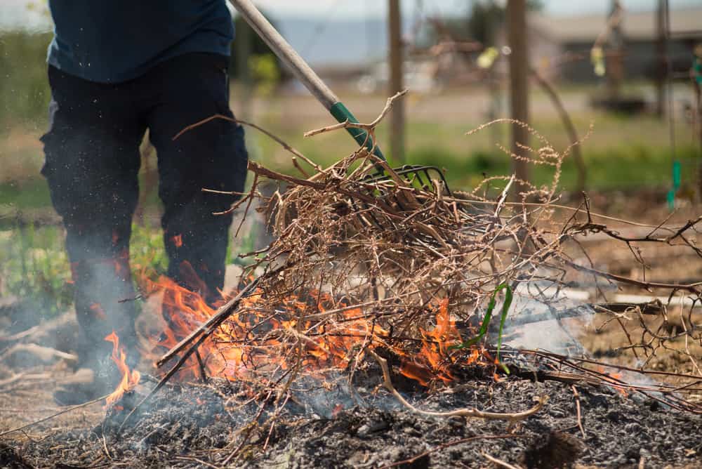☀️It's going to be nice this weekend! If you plan on cleaning up your yard, please keep in mind that burning brush, leaves and yard waste is prohibited by the city. Public Works provides a brush drop off open now. Spring yard waste and leaf collection is open until May 10th.
