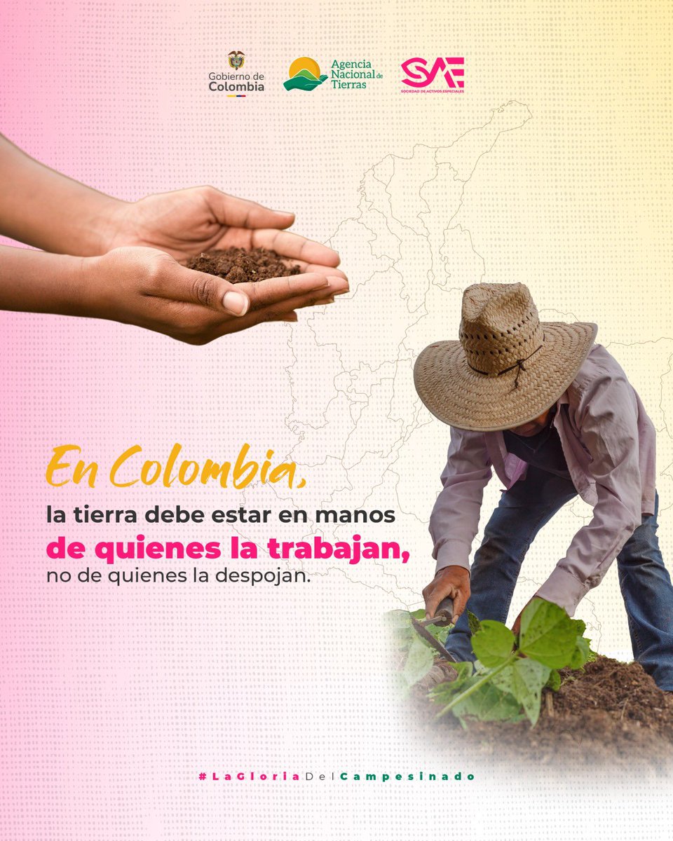 HaCe tweet media