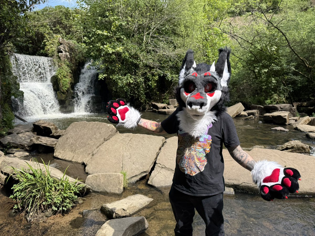 Happy fursuit Friday from a derg next to a small waterfall! #furry #fursuit #FursuitFriday #fursuiter #derg #waterfall ll