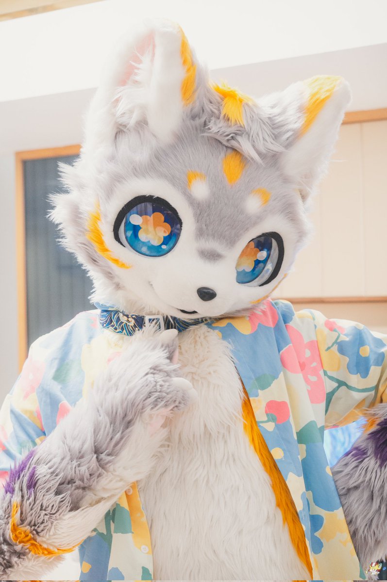 #FursuitFriday 
嘘！要保密哦
📷pio