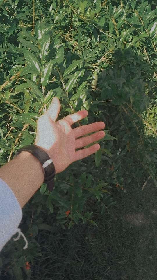 Drop your hand media....!🌸