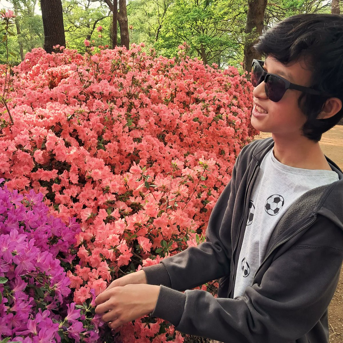 ChapmanShum's tweet photo. < Scents of Spring > Chapmanโs enjoying the spring vibes, trying to remember how it smells while finding ideas for his music. #isabellaplantation #richmondpark #BlindPianist #chapmanshum #neurodivergent #spring #inspiration #scentsofspring #londonspring https://t.co/ncJY5r9IDj