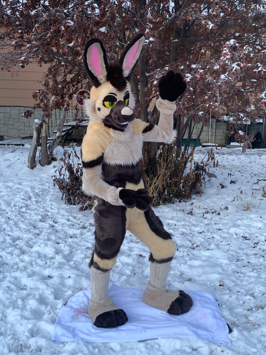 βΉ β Mich β βΉ βοΈ (@sockune) on Twitter photo Potentially putting Uni up for offers with a heavy heart. She was made by <a href="/taliruq_/">ππππππ«αααα
</a> in 2019 she's a bunny/German shepherd mix.
Built for someone 5'7 120lbs
Comes with around 35 pieces of art. π
Send me a DM with offers if interested.
Not looking for trades at this time. Potentially putting Uni up for offers with a heavy heart. She was made by <a href="/taliruq_/">ππππππ«αααα
</a> in 2019 she's a bunny/German shepherd mix.
Built for someone 5'7 120lbs
Comes with around 35 pieces of art. π
Send me a DM with offers if interested.
Not looking for trades at this time.