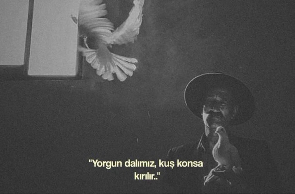 Raskolnikovsair's tweet photo. “Yorgun dalımız, 
kuş konsa kırılır..” https://t.co/v8P7FNsMOx