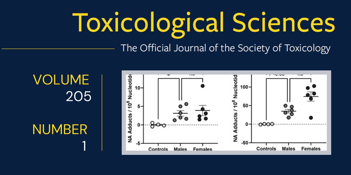 Society of Toxicology (@sotoxicology) on Twitter photo May 2025 <a href="/ToxSci/">Toxicological Sciences</a> Research Brief—DNA Adducts Form in Mouse Lung and Liver After Oral Naphthalene Exposure academic.oup.com/toxsci/article… (#OpenAccess) May 2025 <a href="/ToxSci/">Toxicological Sciences</a> Research Brief—DNA Adducts Form in Mouse Lung and Liver After Oral Naphthalene Exposure academic.oup.com/toxsci/article… (#OpenAccess)
