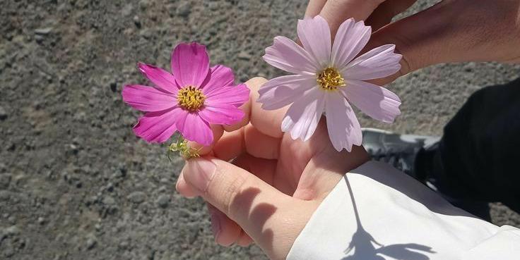 أنـت مُـعـجـزة و أنا أول الـمـؤمـنين بـك🥹♥️

 ͟͟͞͞➳❥❬ 𝒍𝒐𝒗𝒆𝒅 𝒚𝒐𝒖 𝒎 ❭•♥️