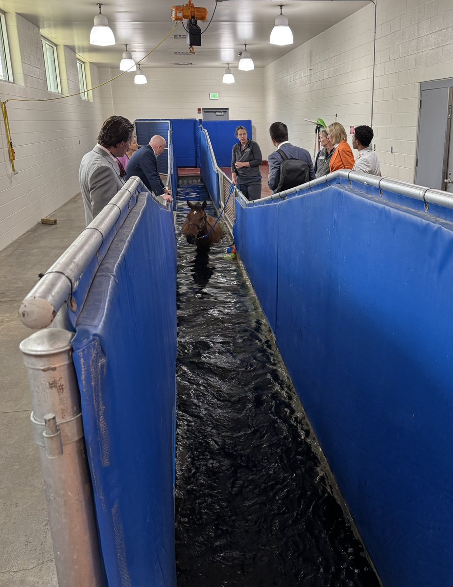 DondePlowman's tweet image. Glad to welcome our @UTKnoxville Advisory Board to @UTIAg for our meeting to receive updates from my team &amp;amp; discuss campus initiatives. Appreciate Dr. Keith Carver &amp;amp; Dean Paul Plummer for giving us a tour of @utcvm and seeing first-hand the incredible work they do every day!