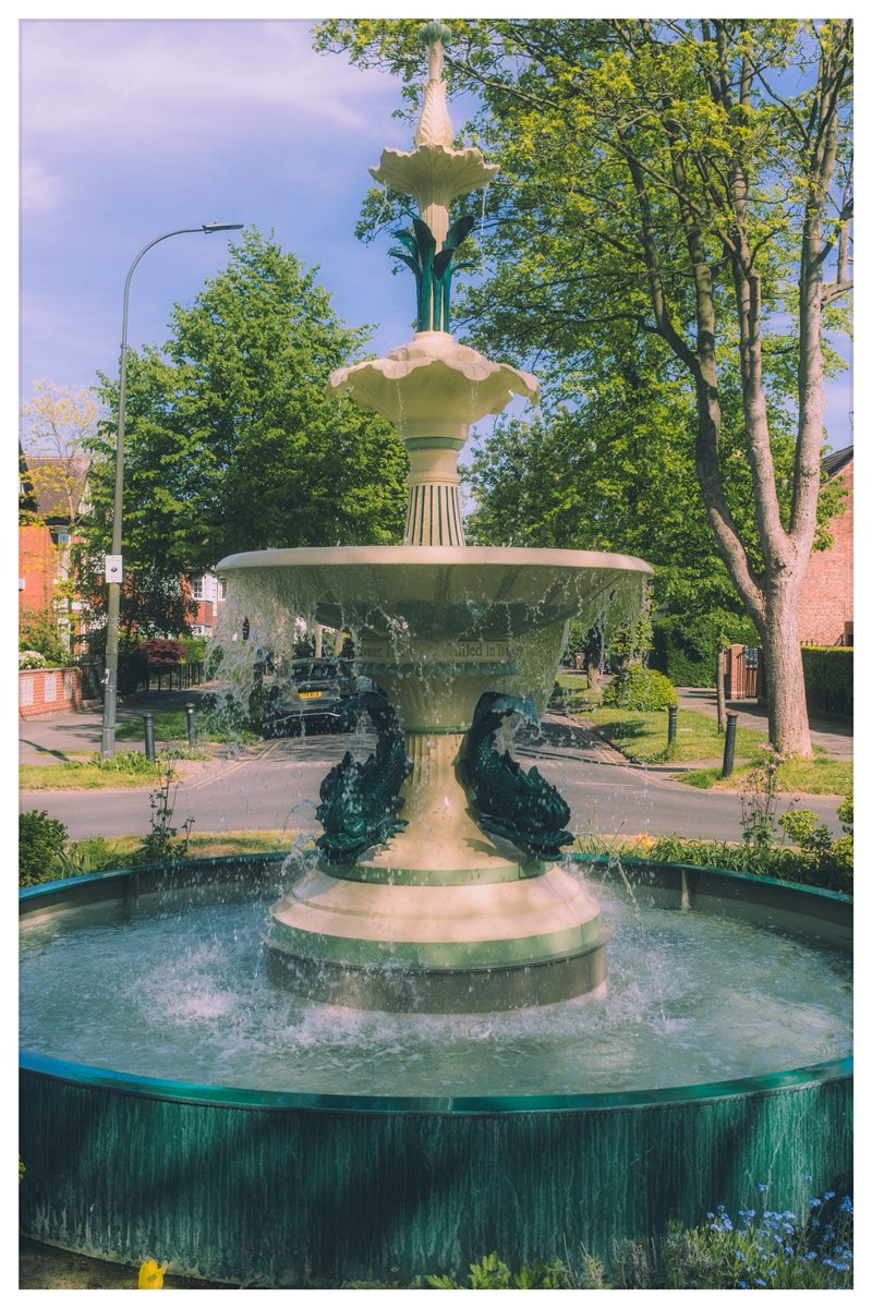 KomkovSergej's tweet photo. Anyways…in other news this is Hull :) love walking around the avenues :) #hu5 #Hull #hull2025 https://t.co/yAE7uz8zhx