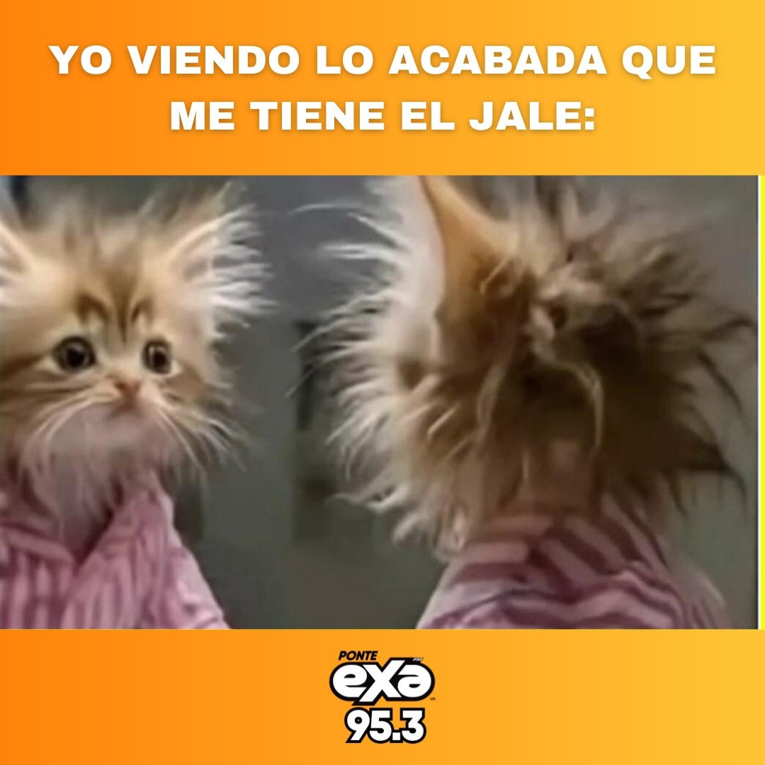 exafm_tampico's tweet image. 😅
•
•
•
#exafm #exameme