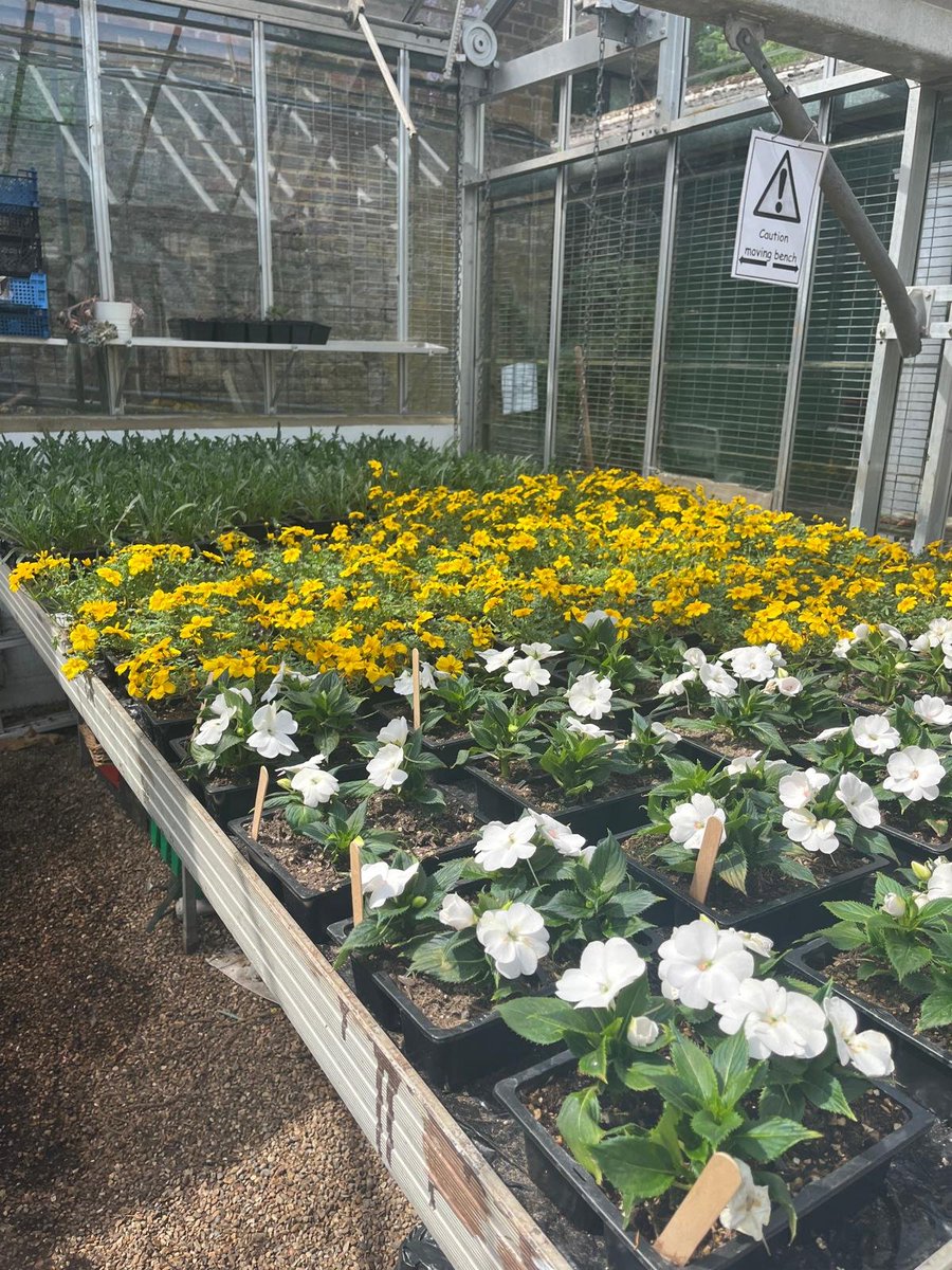 Sat 3rd and Sun 4th May, join us in #Highgate for the Harington Spring Sale from 10am-1pm.