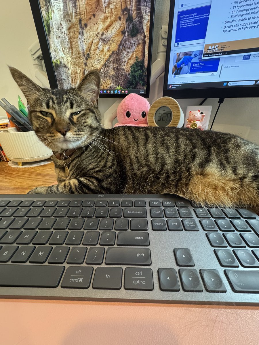 Impossible to do any work with this girl 😂