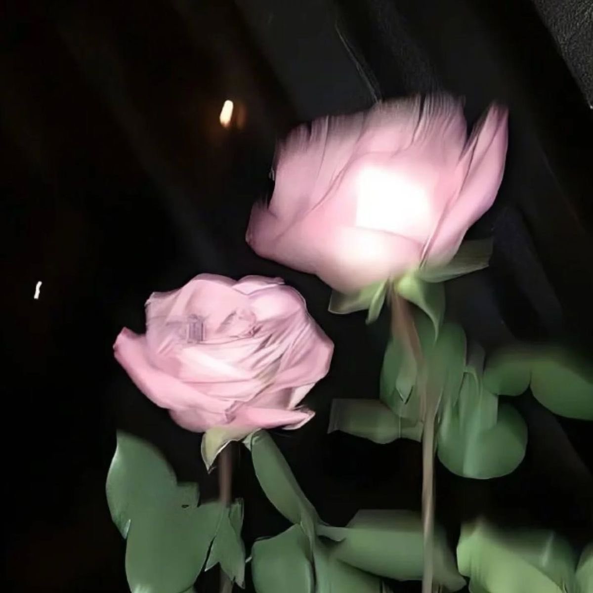 Lily ✮⋆˙ tweet media