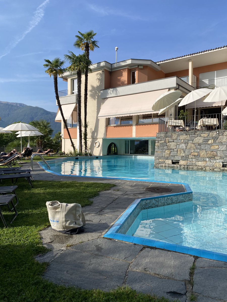 Stefan Scherer tweet media