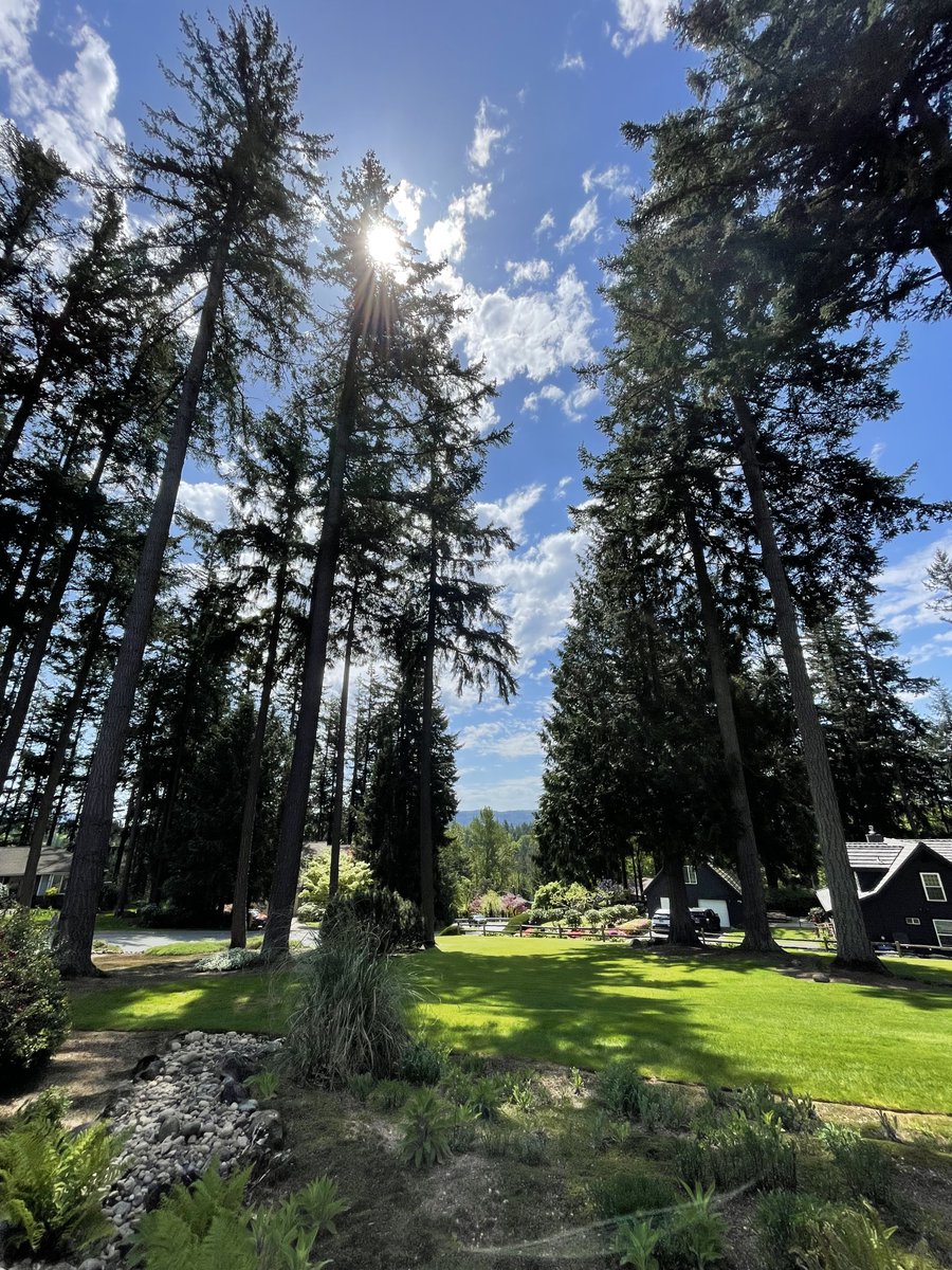 My phone and email have gone conspicuously quiet this afternoon, but the weather is excellent.

Seattle area clients must be busy today😎