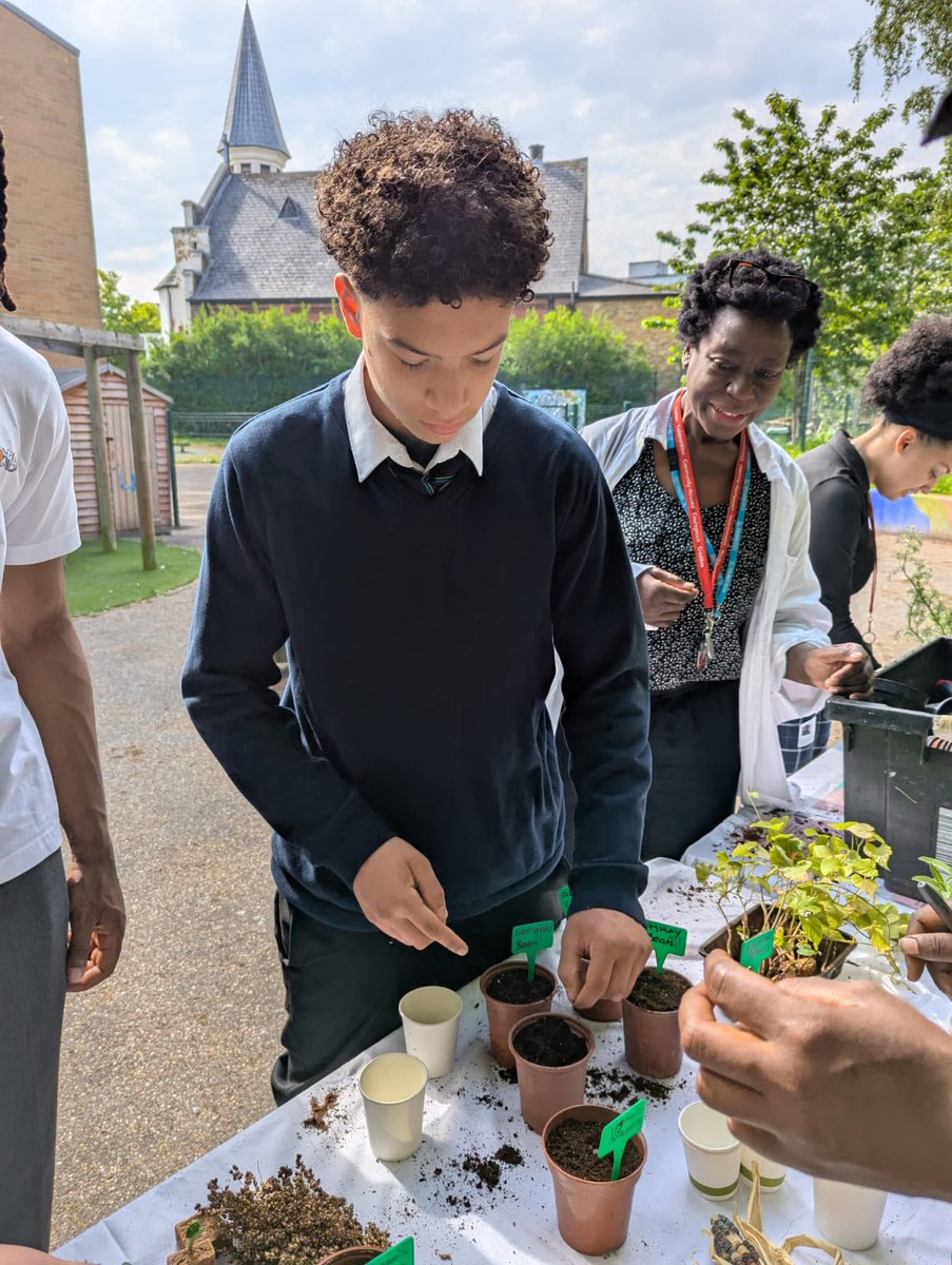 Haringey Learning Partnership (@haringeylp) on Twitter photo Huge thanks to Pamela, JK & Kate from #EatWoodGreen & <a href="/blackrootz__/">Black Rootz</a> for leading an inspiring session on growing food, biodiversity & heritage.
Our students learned, planted & connected with nature – and even sweet potato vines might make it to our kitchen! #ThisIsAP Huge thanks to Pamela, JK & Kate from #EatWoodGreen & <a href="/blackrootz__/">Black Rootz</a> for leading an inspiring session on growing food, biodiversity & heritage.
Our students learned, planted & connected with nature – and even sweet potato vines might make it to our kitchen! #ThisIsAP