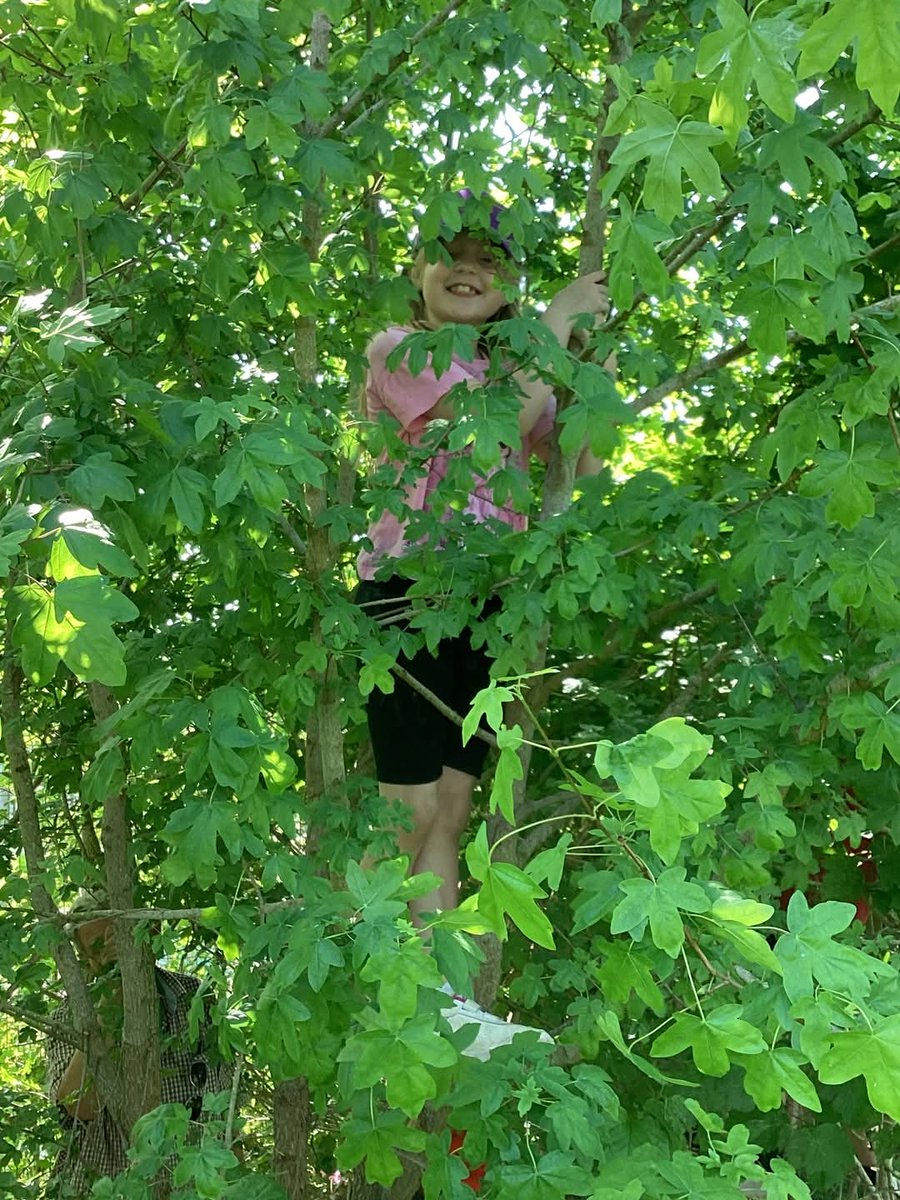 Castle Mead School tweet media