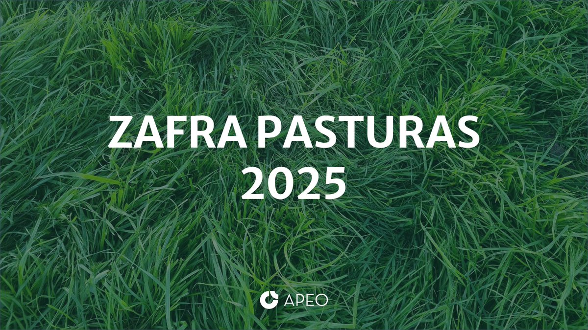 ☘️¿Cómo están los costos de las pasturas en este otoño 2025? 🌱🐮 (1/5)