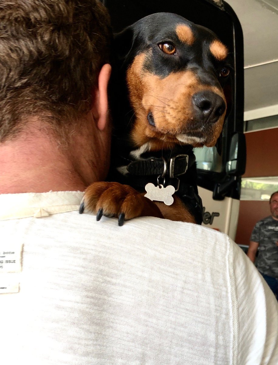 Gerard Butler (@gerardbutler) on Twitter photo 8 years ago in Bulgaria, I came home with more than just a movie—I got Shushka. She’s still the real star. 8 years ago in Bulgaria, I came home with more than just a movie—I got Shushka. She’s still the real star.