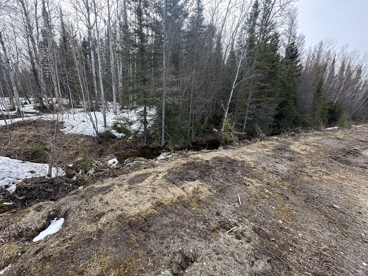 Canada Nickel employees recently took part in a community clean-up — a small but meaningful way to care for the places we live and work.
 
We’re proud to be part of Northern Ontario and committed to building strong relationships, creating opportunity, and leading responsibly.