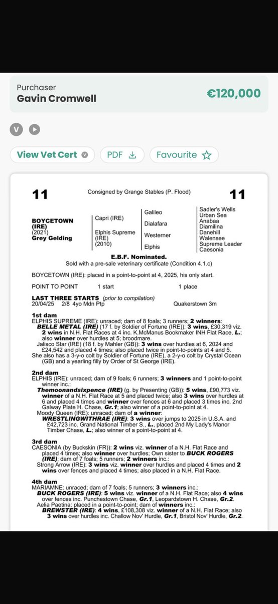 Boycetown by Capri looking to have a promising future! #CAPRI